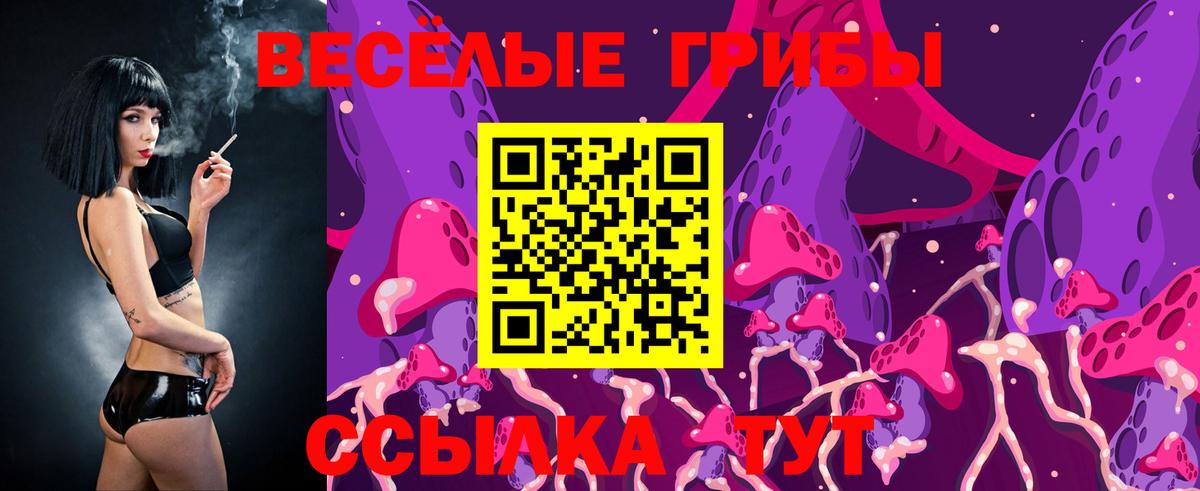 купить наркоту  Галлюциногенные грибы прущие грибы  Вход с VPN  Канск 